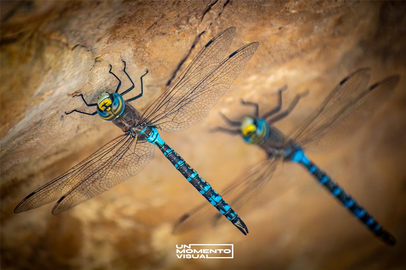 NATURALEZA